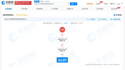 商务信息咨询 企业决策的智慧引擎