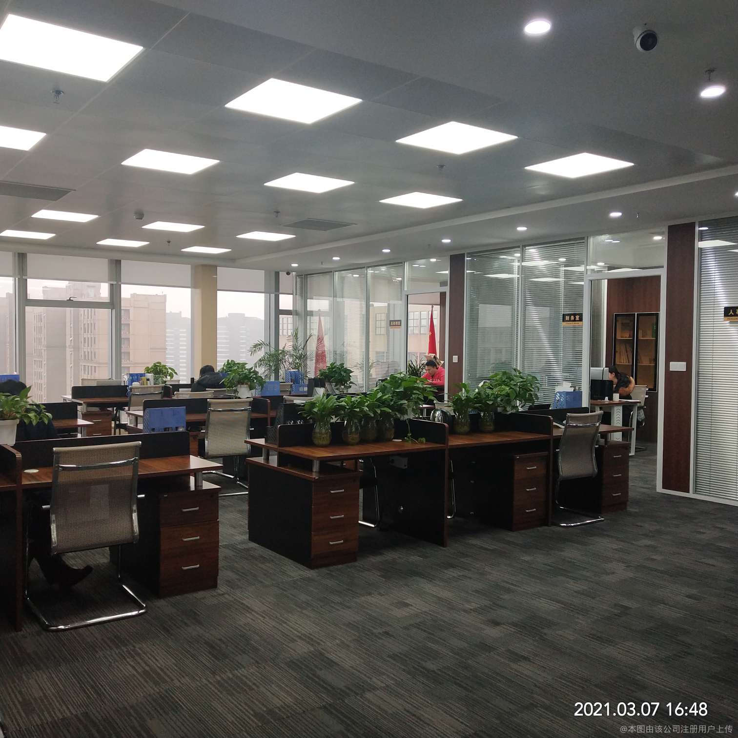 言启商务信息咨询 洞察数据，赋能决策